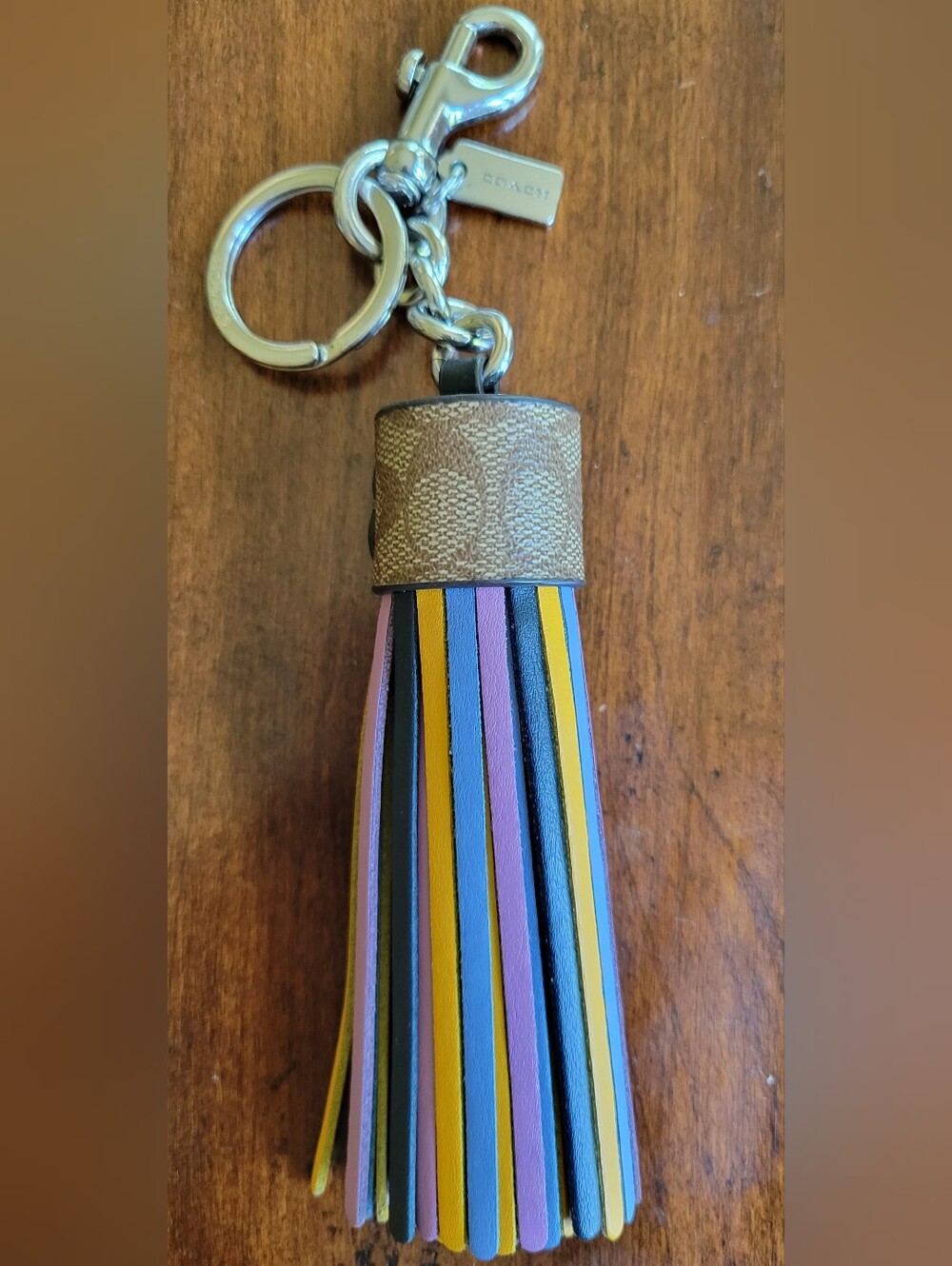 Coach Multicolor Leather Tassel Keychain, Charm